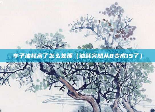 车子油耗高了怎么处理(油耗突然从8变成15了)
