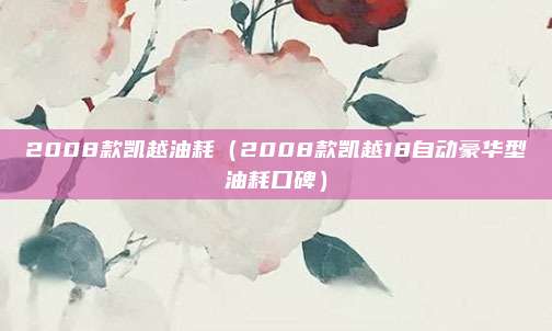 2008款凯越油耗(2008款凯越18自动豪华型油耗口碑)