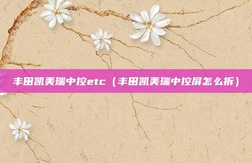 丰田凯美瑞中控etc（丰田凯美瑞中控屏怎么拆）