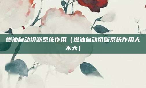 燃油自动切断系统作用(燃油自动切断系统作用大不大)