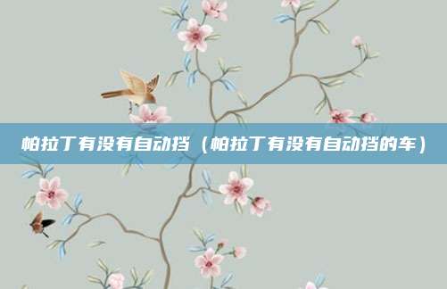 帕拉丁有没有自动挡(帕拉丁有没有自动挡的车)