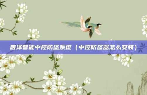 唐泽智能中控防盗系统（中控防盗器怎么安装）
