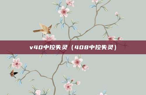 v40中控失灵(408中控失灵)