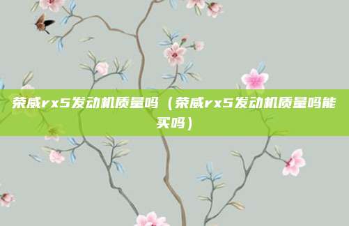 荣威rx5发动机质量吗(荣威rx5发动机质量吗能买吗)