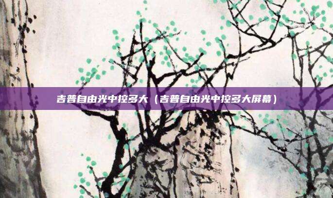 吉普自由光中控多大（吉普自由光中控多大屏幕）
