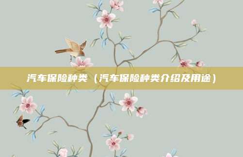 汽车保险种类(汽车保险种类介绍及用途)