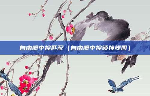 自由舰中控匹配(自由舰中控锁接线图)