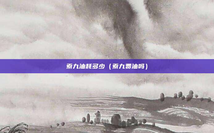 索九油耗多少（索九费油吗）