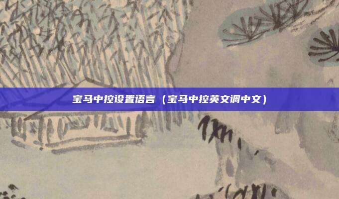 宝马中控设置语言(宝马中控英文调中文)