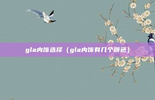 gla内饰选择(gla内饰有几个颜色)