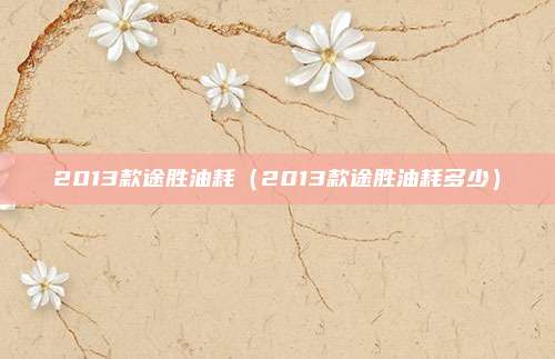 2013款途胜油耗（2013款途胜油耗多少）