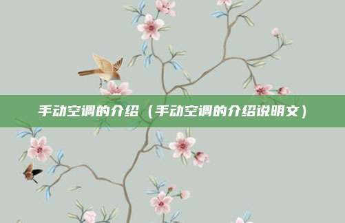 手动空调的介绍(手动空调的介绍说明文)