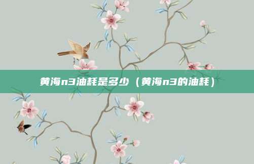黄海n3油耗是多少(黄海n3的油耗)
