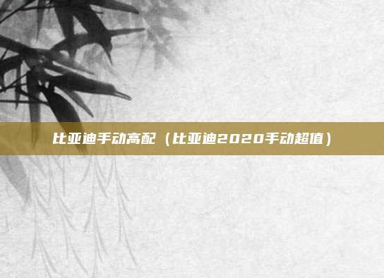 比亚迪手动高配（比亚迪2020手动超值）