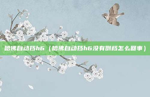 哈佛自动挡h6（哈佛自动挡h6没有倒档怎么回事）