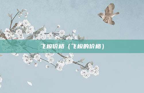 飞梭价格（飞梭的价格）