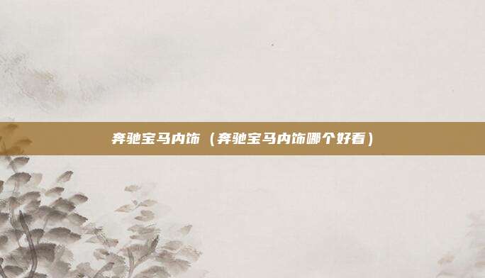 奔驰宝马内饰（奔驰宝马内饰哪个好看）
