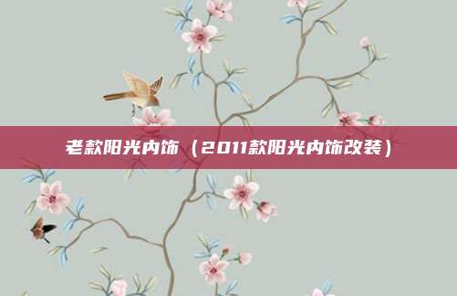 老款阳光内饰（2011款阳光内饰改装）