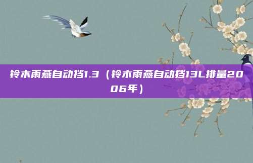 铃木雨燕自动挡1.3（铃木雨燕自动挡13L排量2006年）