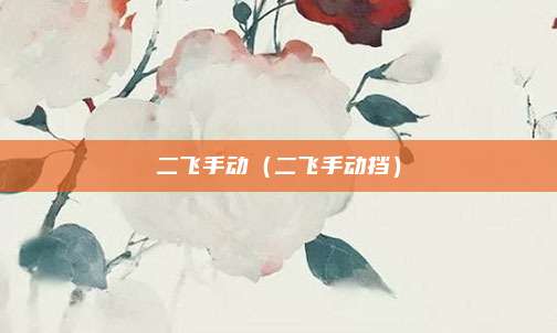 二飞手动（二飞手动挡）