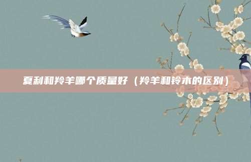 夏利和羚羊哪个质量好(羚羊和铃木的区别)