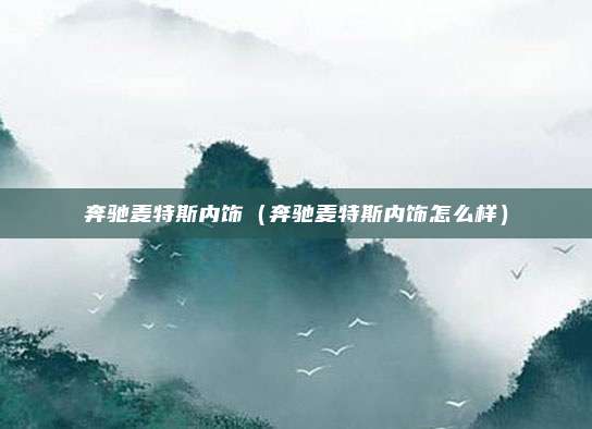 奔驰麦特斯内饰(奔驰麦特斯内饰怎么样)