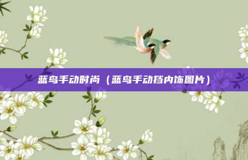 蓝鸟手动时尚(蓝鸟手动挡内饰图片)