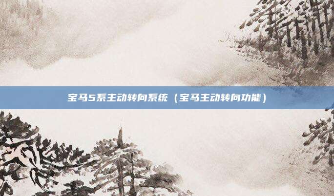 宝马5系主动转向系统(宝马主动转向功能)