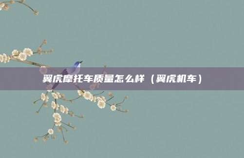 翼虎摩托车质量怎么样(翼虎机车)