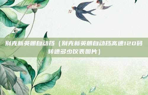 别克新英朗自动挡（别克新英朗自动挡高速120码转速多少仪表图片）