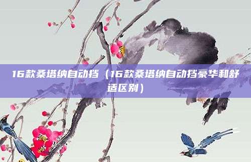 16款桑塔纳自动挡（16款桑塔纳自动挡豪华和舒适区别）