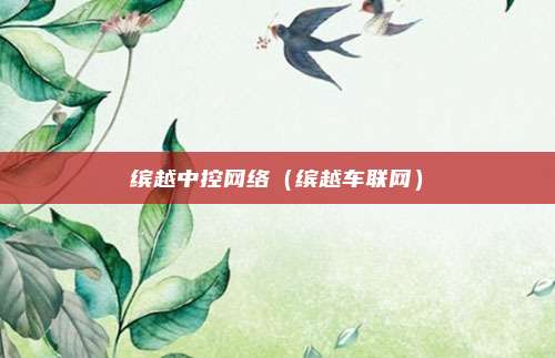 缤越中控网络（缤越车联网）