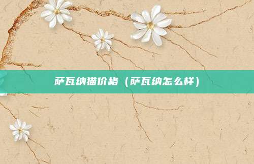 萨瓦纳猫价格（萨瓦纳怎么样）