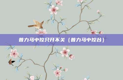 普力马中控只开不关（普力马中控台）