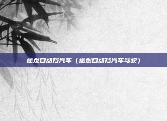 途观自动挡汽车（途观自动挡汽车驾驶）