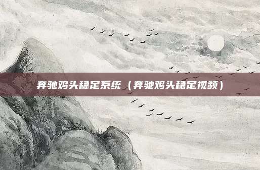 奔驰鸡头稳定系统（奔驰鸡头稳定视频）