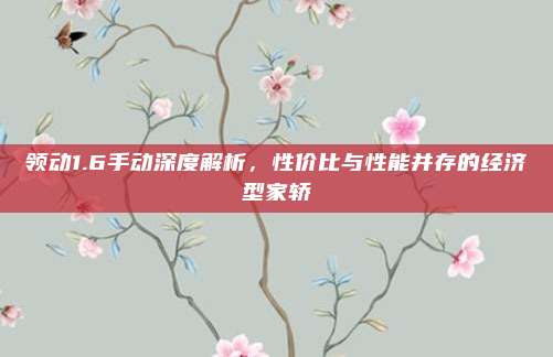 领动1.6手动深度解析，性价比与性能并存的经济型家轿