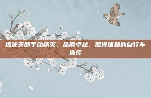 揭秘英郎手动精英，品质卓越，值得信赖的自行车选择