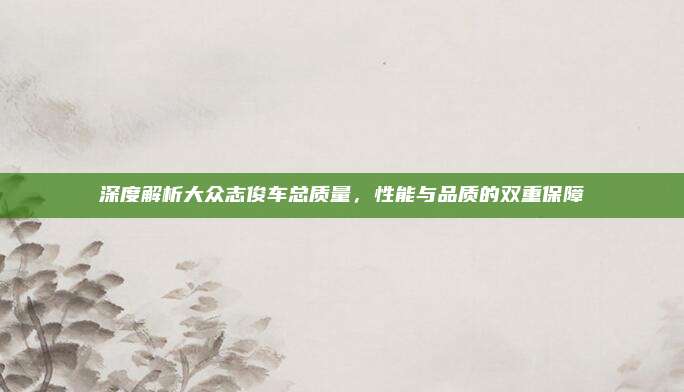 深度解析大众志俊车总质量,性能与品质的双重保障
