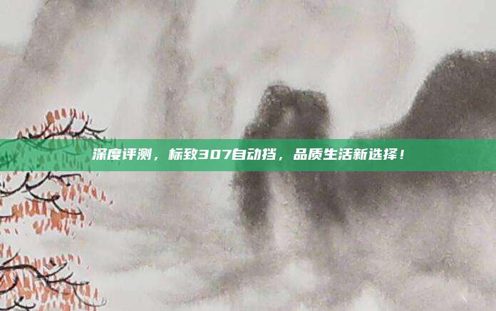 深度评测,标致307自动挡,品质生活新选择!