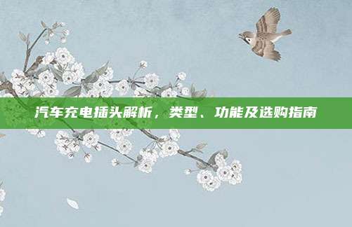汽车充电插头解析,类型、功能及选购指南
