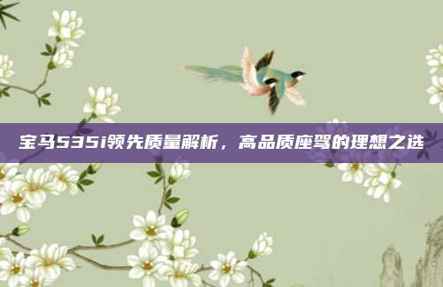 宝马535i领先质量解析，高品质座驾的理想之选