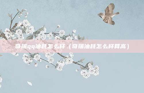奇瑞qq油耗怎么样（奇瑞油耗怎么样算高）
