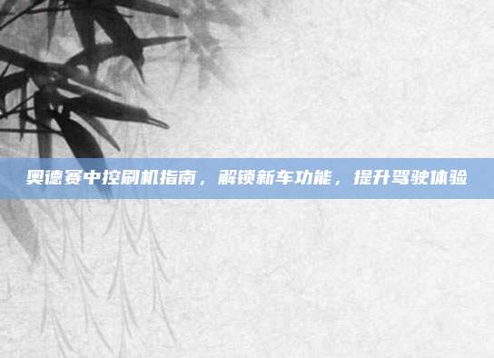 奥德赛中控刷机指南，解锁新车功能，提升驾驶体验