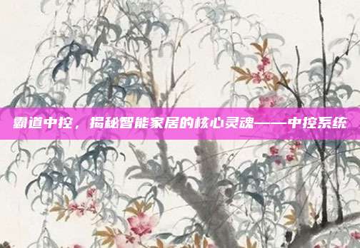 霸道中控,揭秘智能家居的核心灵魂——中控系统