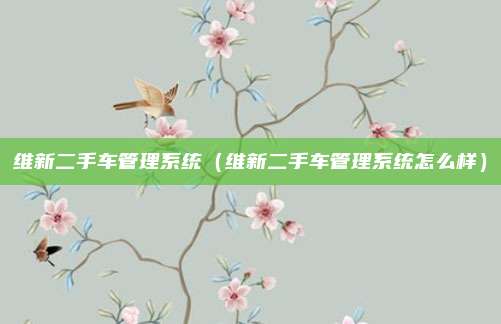 维新二手车管理系统（维新二手车管理系统怎么样）