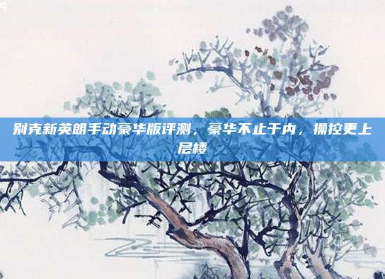 别克新英朗手动豪华版评测,豪华不止于内,操控更上层楼
