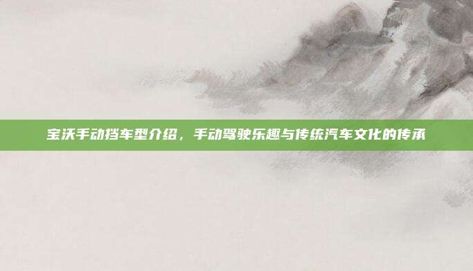 宝沃手动挡车型介绍，手动驾驶乐趣与传统汽车文化的传承