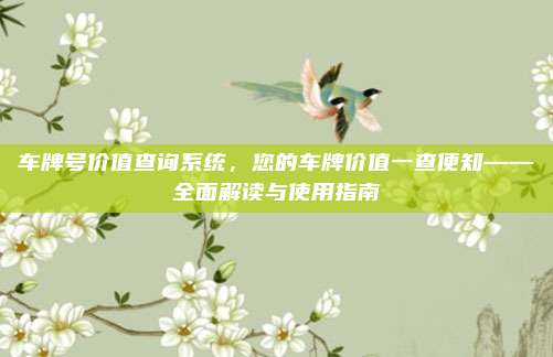 车牌号价值查询系统,您的车牌价值一查便知——全面解读与使用指南