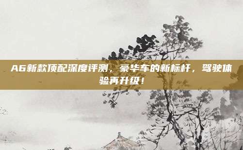 A6新款顶配深度评测,豪华车的新标杆,驾驶体验再升级!